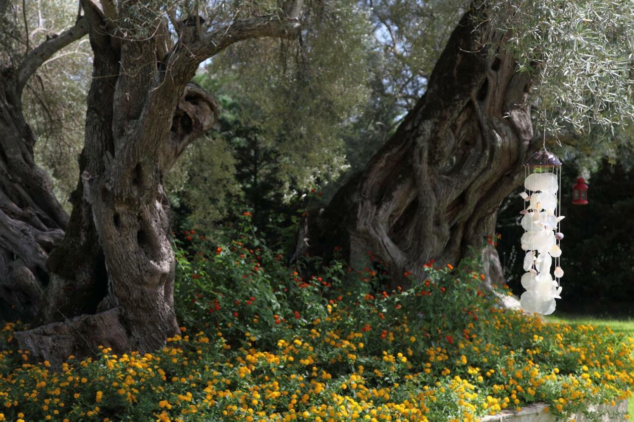 Olivastro Villa Lefkáda المظهر الخارجي الصورة